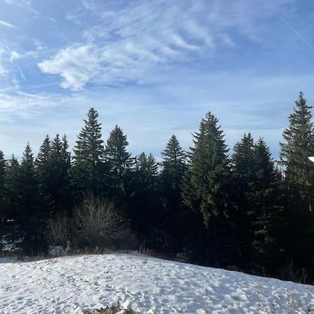 Chamrousse A 50M Des Pistes Appart 4/6 Eksteriør billede
