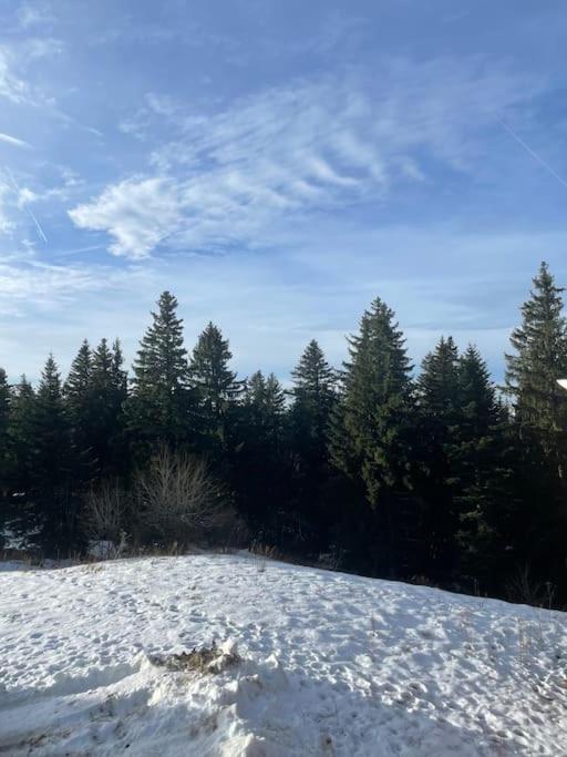 Chamrousse A 50M Des Pistes Appart 4/6 Eksteriør billede