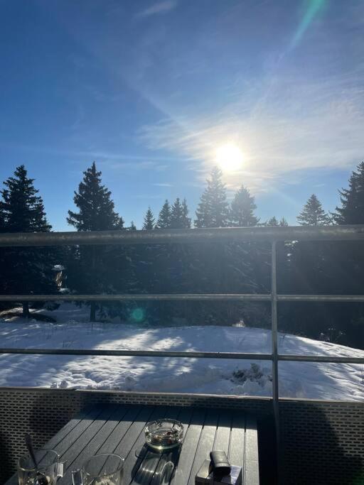 Chamrousse A 50M Des Pistes Appart 4/6 Eksteriør billede